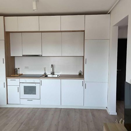 Platinum Luxury Apartment Near Presidential Palace บูคาเรสต์ ภายนอก รูปภาพ