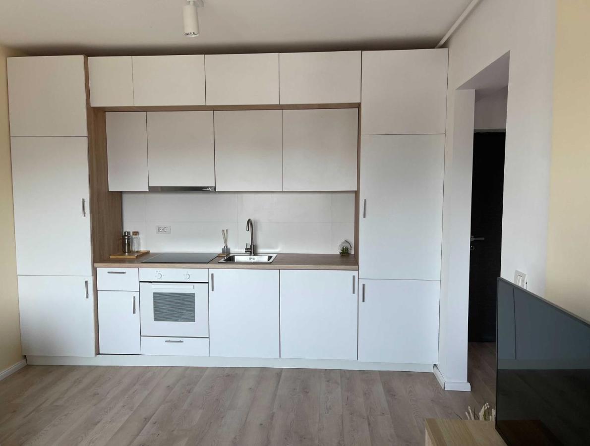 Platinum Luxury Apartment Near Presidential Palace บูคาเรสต์ ภายนอก รูปภาพ